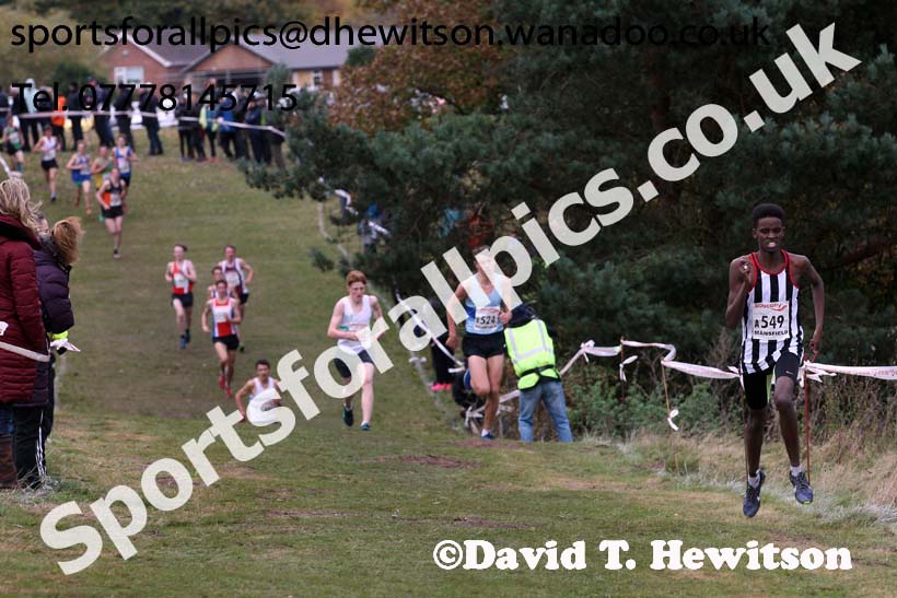 Mens under-17s, 2016 National Cross Country Relays, Berry Hill Park, Mansfield. Photo: David T. Hewitson/Sports for All Pics